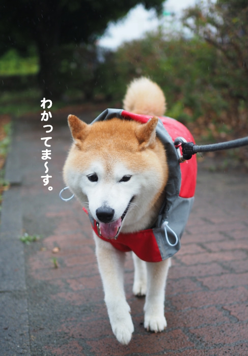 6日ブログ４