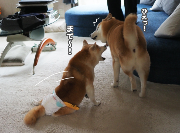 27日夜ブログ１２