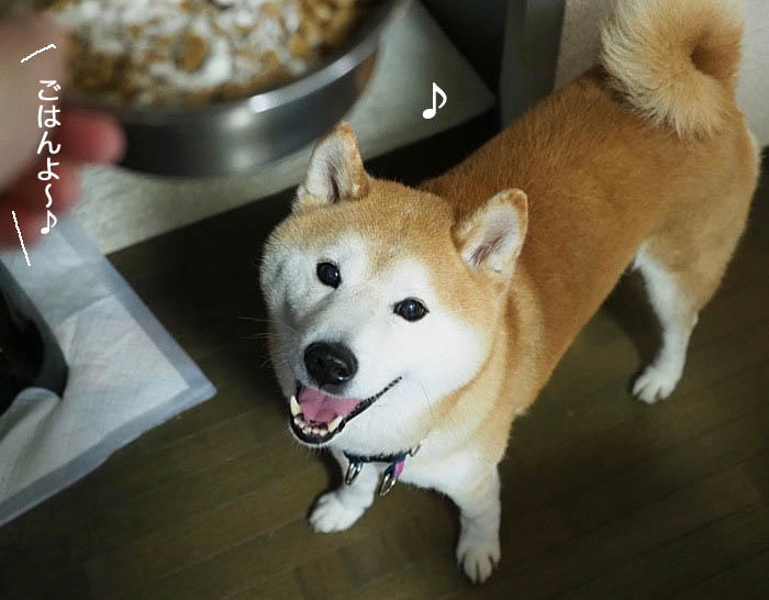 17日ブログ３