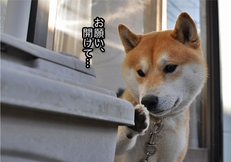 5日ブログ5.jpg