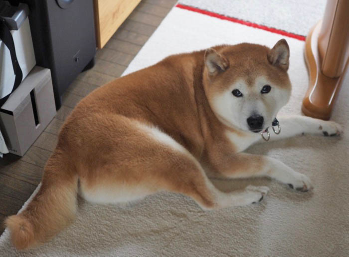 11日ブログ８