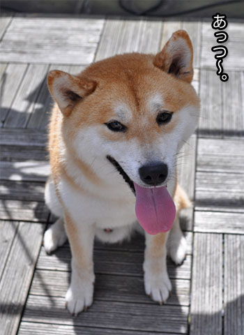 18日ブログ12.jpg
