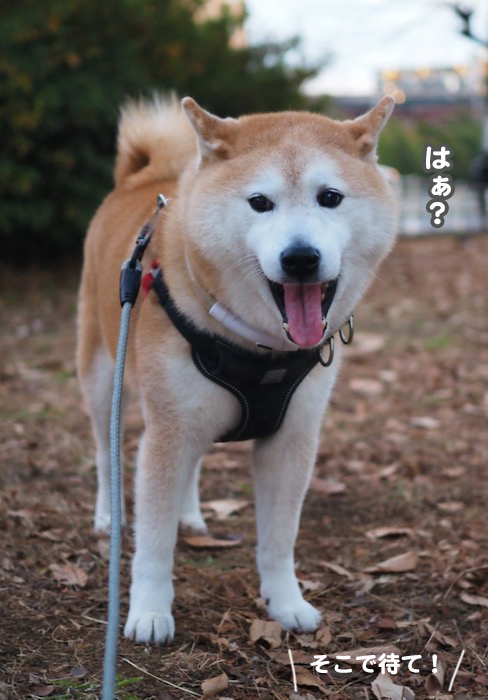 9日ブログ２