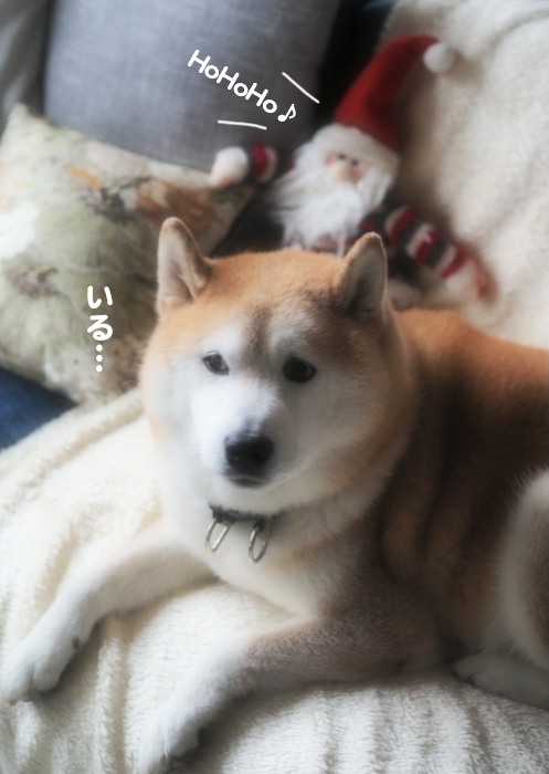 3日夕ブログ2