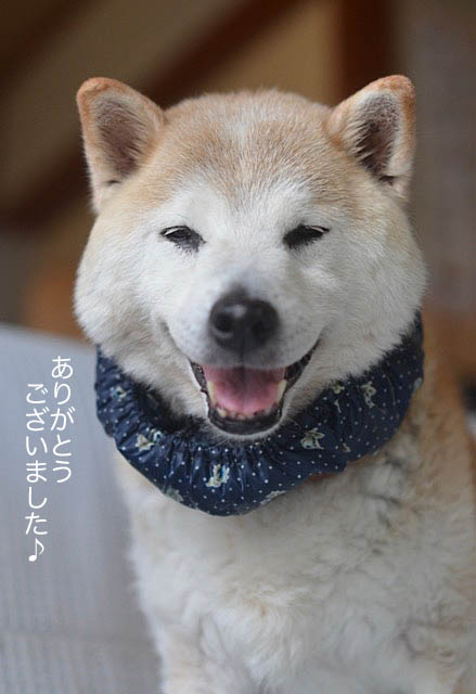 30日ブログ14