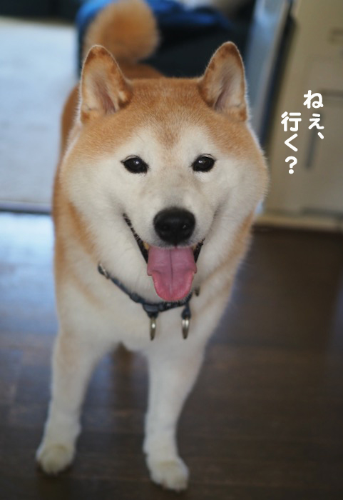 22日夜ブログ１