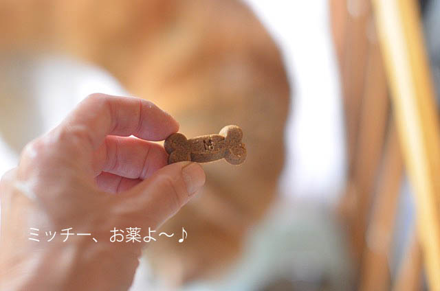 31日ブログ4