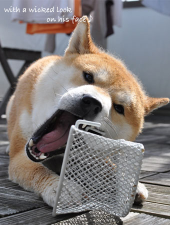 8日ブログ4.jpg