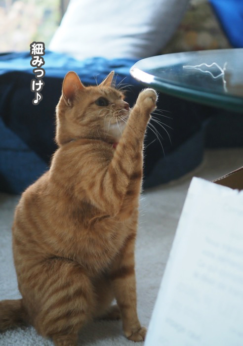 25日夕ブログ３