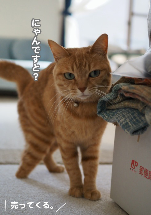 1日ブログ３