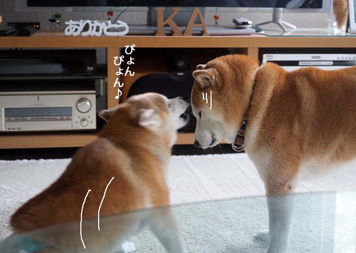 16日夕ブログ３