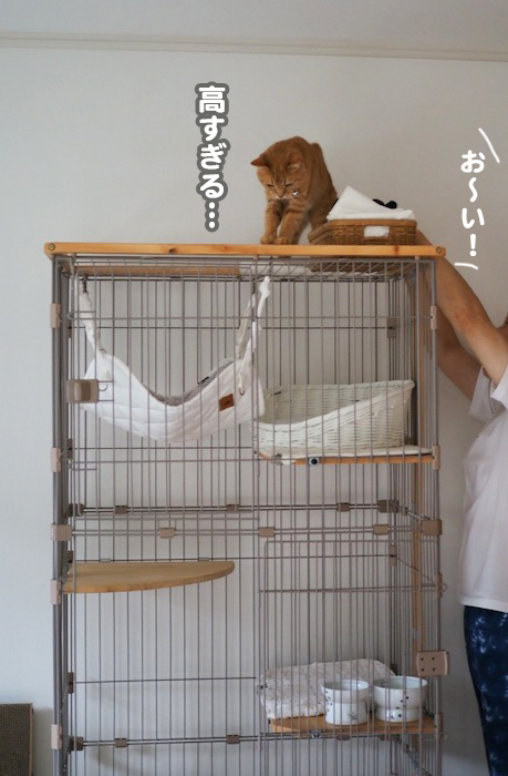 3日夕ブログ６