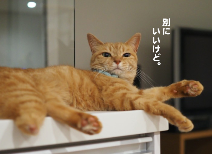 4日ブログ７