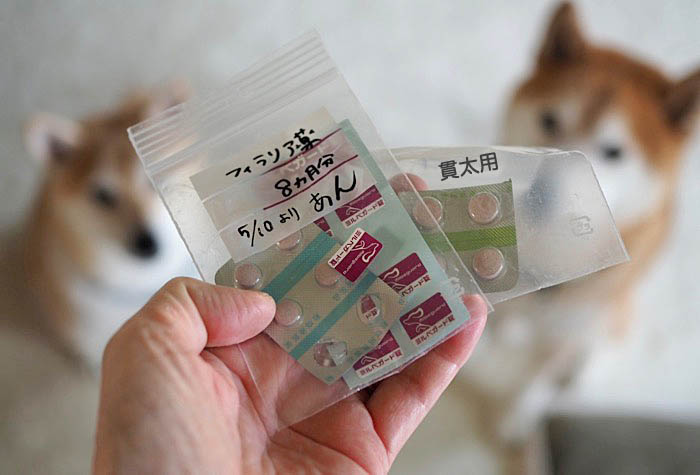 12日午後ブログ６