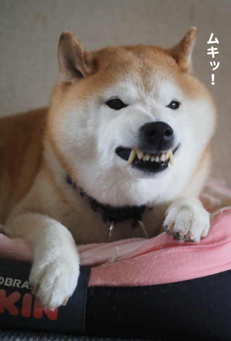 10日ブログ２