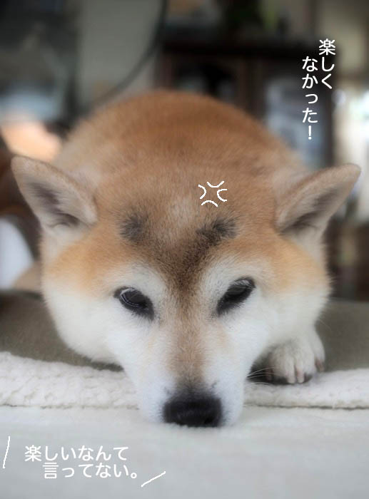 28日ブログ６
