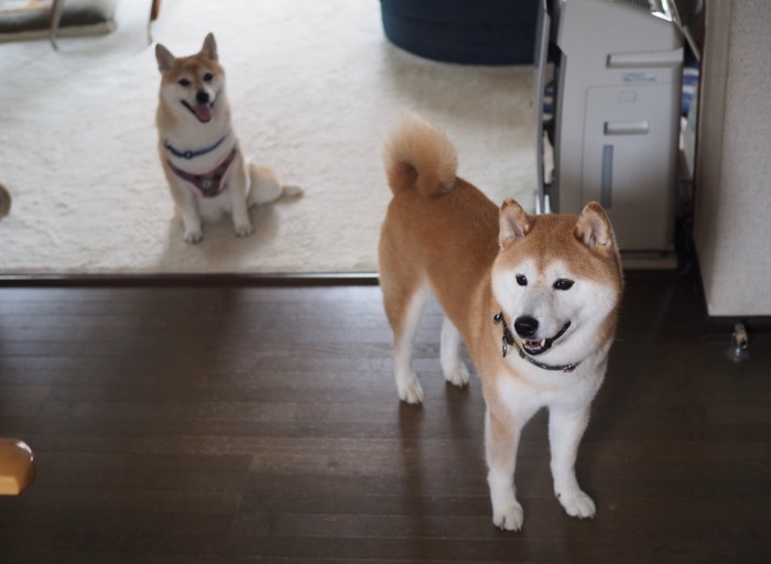24日朝ブログ１