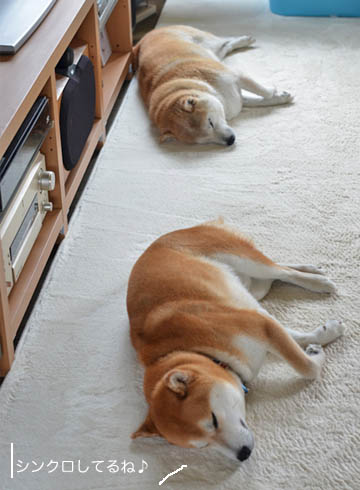22日ブログ2.jpg