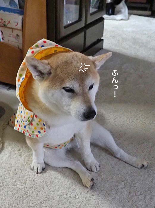 17日昼ブログ２