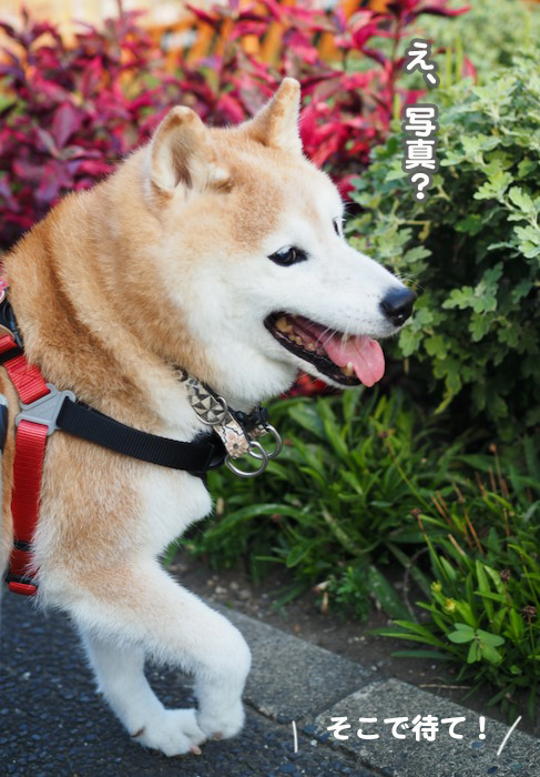20日ブログ２