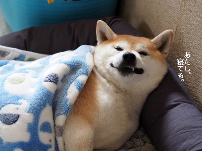 8日ブログ３