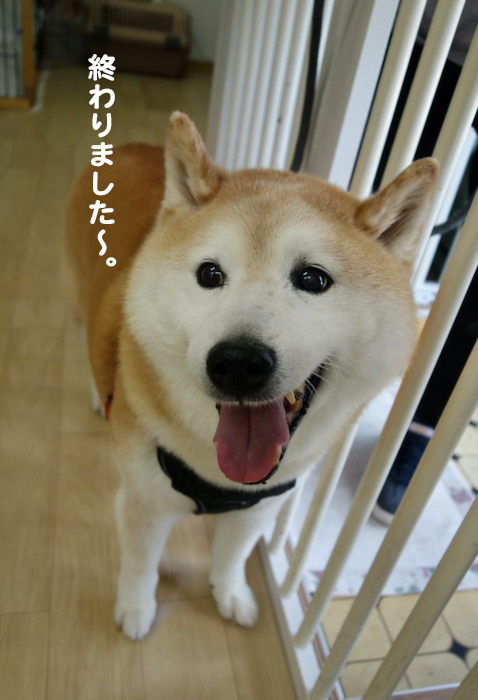 8日夕ブログ６