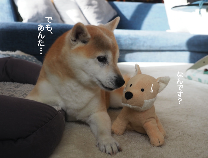 28日ブログ