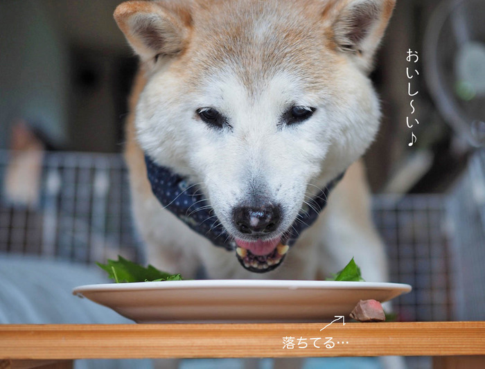 30日ブログ5
