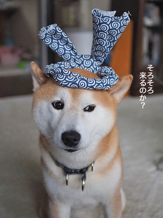 15日ブログ３