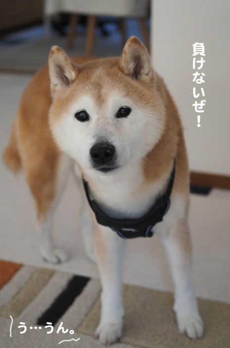 6日夕ブログ５