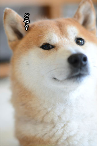 26日ブログ11.jpg