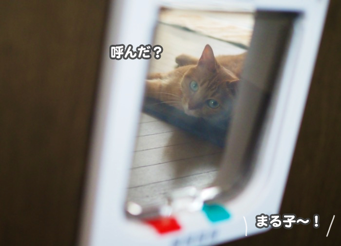 19日夕ブログ２