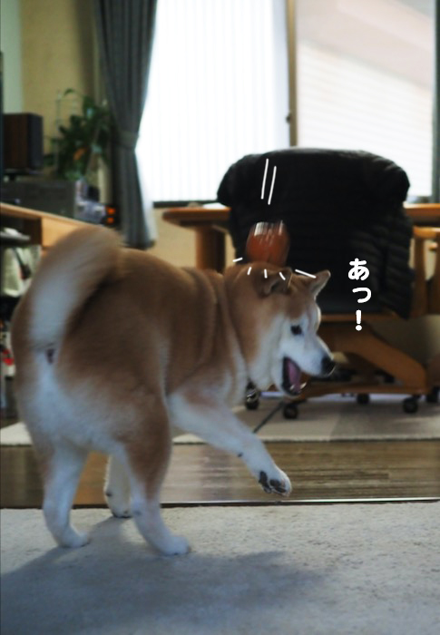30日ブログ５