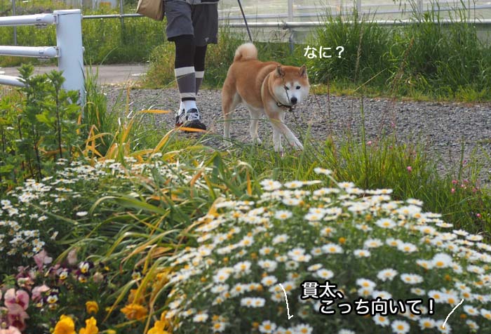 28日午後ブログ３