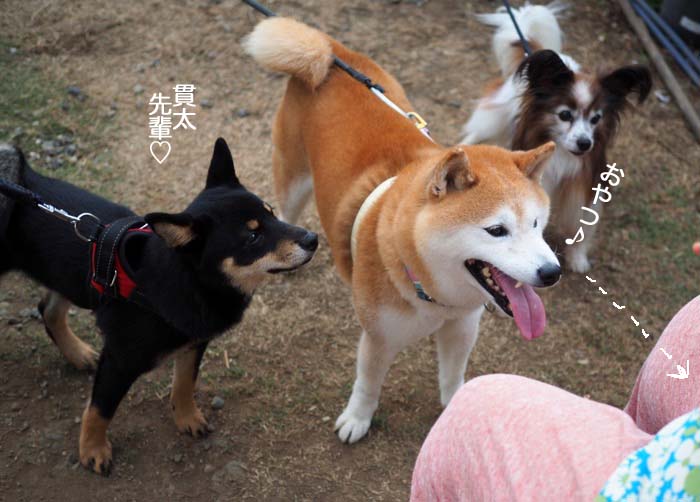15日夜ブログ３