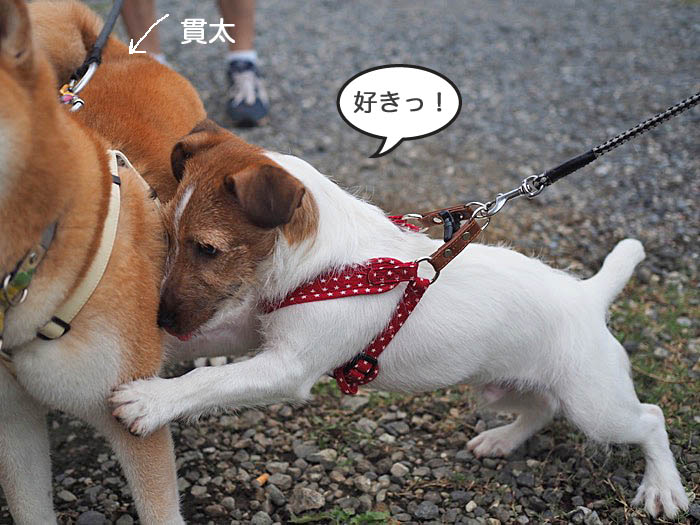 21日夜ブログ１