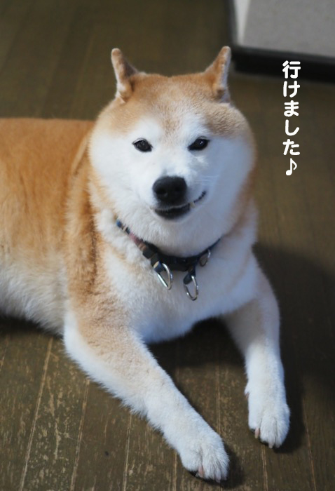 22日夜ブログ５
