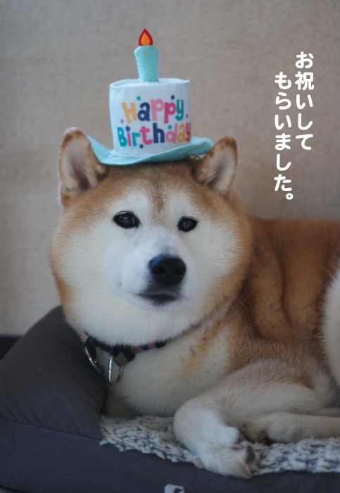 24日夜ブログ２
