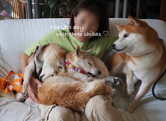1追加写真3