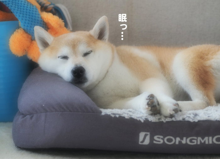 28日ブログ４