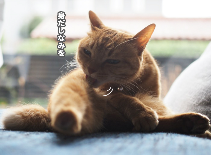 23日夜ブログ４