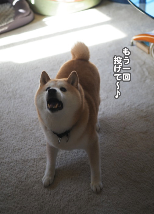 24日ブログ９