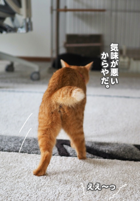 4日夕ブログ１３