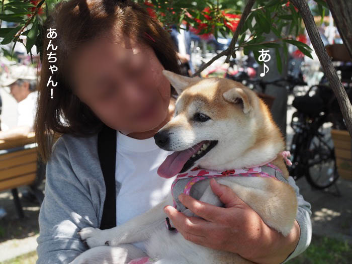 21日ブログ４