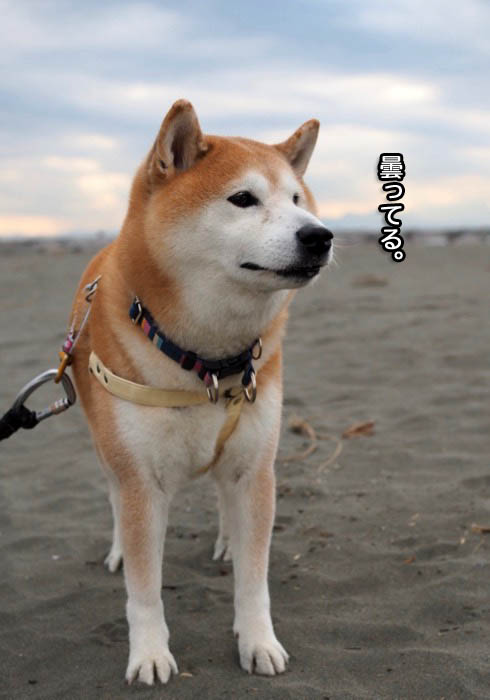 8日夜ブログ３