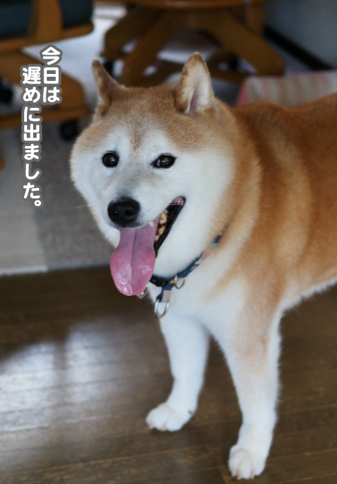 5日夕ブログ４