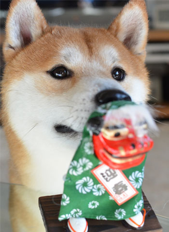 3日ブログ13.jpg