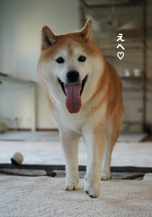 18日夕ブログ９