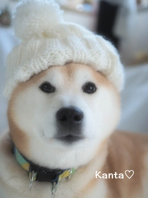 20日夜ブログ9