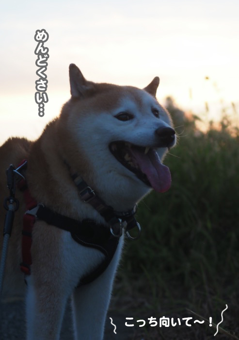 20日ブログ３